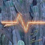 Cacti Cathode