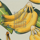 Go Bananas