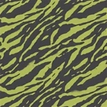 Dart Frog camouflage