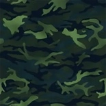 Guttural Shriek camouflage