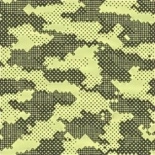Hidden Patterns camouflage