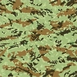 Mold Digital camouflage