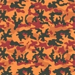 Poison Oak camouflage