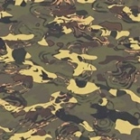 Quagmire camouflage