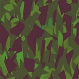 Sacrament camouflage