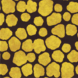 Golden Poison camouflage