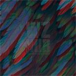 Riflebird camouflage