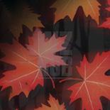 Momiji